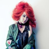 Fat Cat - List pictures