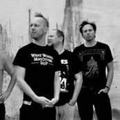 Harlequin - List pictures