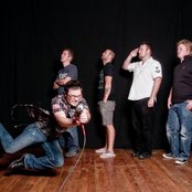 Attack Flamingo - List pictures