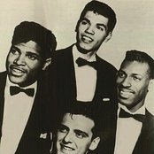 Jaguars - List pictures