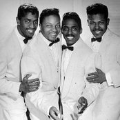 The Penguins - List pictures