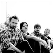 Cranberries - List pictures