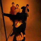 Shed Seven - List pictures