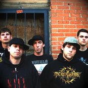 My Bitter End - List pictures