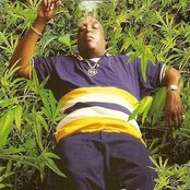 B-legit - List pictures