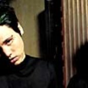 Dry Cell - List pictures