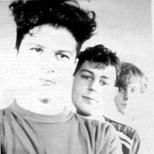 Pale Saints - List pictures