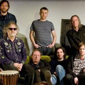 Tired Pony - List pictures