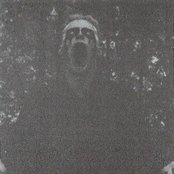 Darkwoods My Betrothed - List pictures