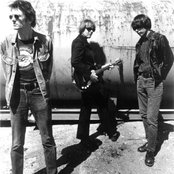 22-pistepirkko - List pictures