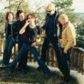 Tehosekoitin - List pictures