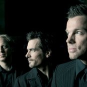 Camouflage - List pictures