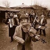 Taraf De Haïdouks - List pictures