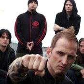 Soil - List pictures