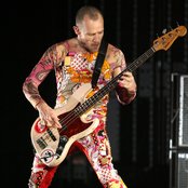 Flea - List pictures
