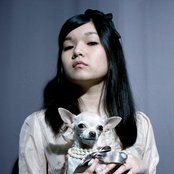 Little - List pictures