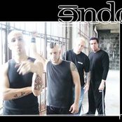 Endo - List pictures