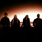 Cormorant - List pictures