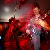 Pelican - List pictures