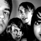 Goose - List pictures