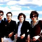 The Redwalls - List pictures