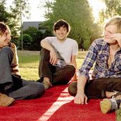 Grizzly Bear - List pictures