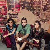 Eruca Sativa - List pictures