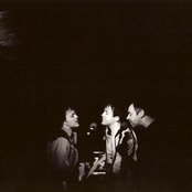 Wrens - List pictures