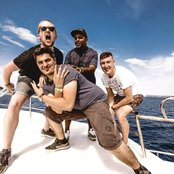 Ivy Lab - List pictures