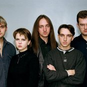 Forgive-me-not - List pictures