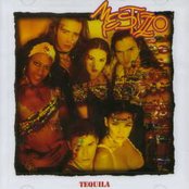 Mestizzo - List pictures