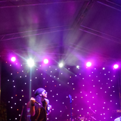 Sleazy Lizards - List pictures