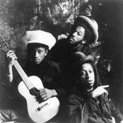 Aswad - List pictures