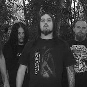 Disgorge - List pictures