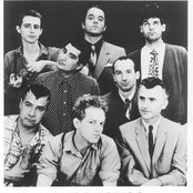 Oingo Boingo - List pictures
