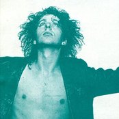 Immaculate Fools - List pictures