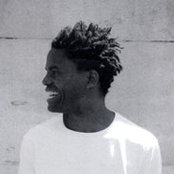 Bows - List pictures