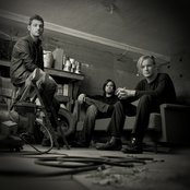 Revis - List pictures