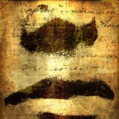 Zygnema - List pictures