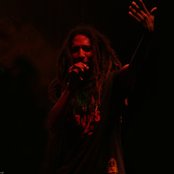 Rootz Underground - List pictures