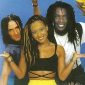 Yellow Mellow - List pictures