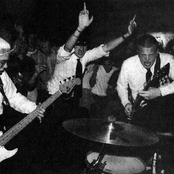 Orchid - List pictures