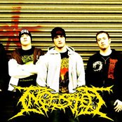 Ingested - List pictures