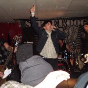 Street Dogs - List pictures