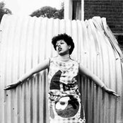 Poly Styrene - List pictures