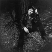 Grant Lee Buffalo - List pictures