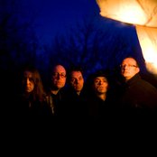 The Amber Herd - List pictures