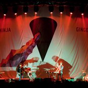 Ginger Ninja - List pictures