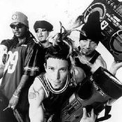 Jimmy's Chicken Shack - List pictures