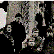 The Coral - List pictures